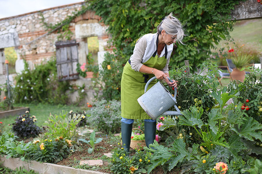 gardening is a great summer activity