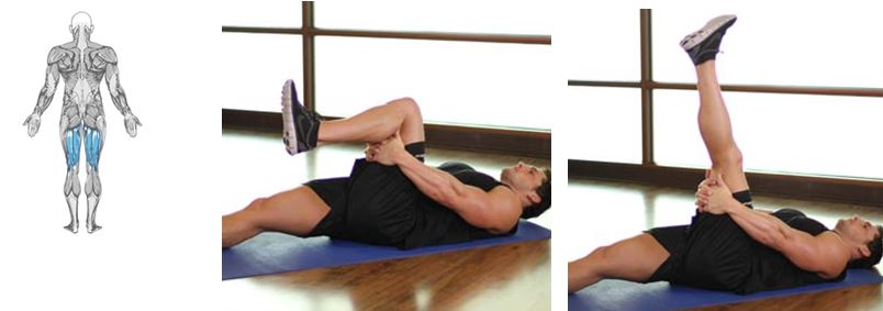 Hamstring Stretch